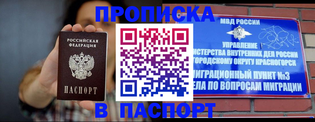 прописка в квартире в Зеленогорске